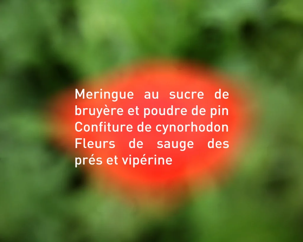 Bouchée - À tous les échos