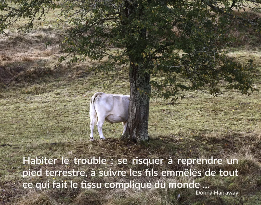 Milieu - À tous les échos
